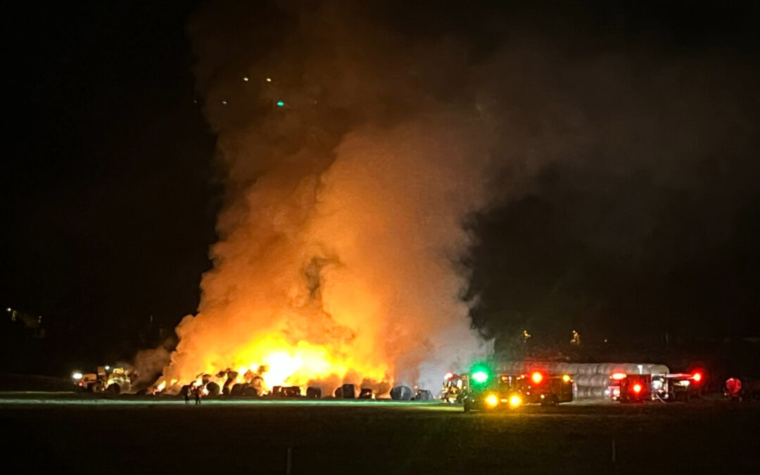 Incendio en San Diego Consume Cientos de Pacas de Heno en Safari Park