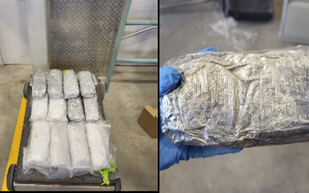 Incautación de metanfetamina en el puerto de entrada de Santa Teresa: 24 libras confiscadas por CBP