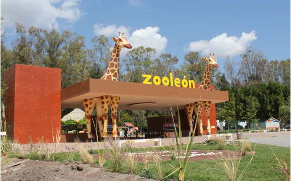 Zoológico de León refuerza seguridad policial tras la trágica muerte de 24 borregos